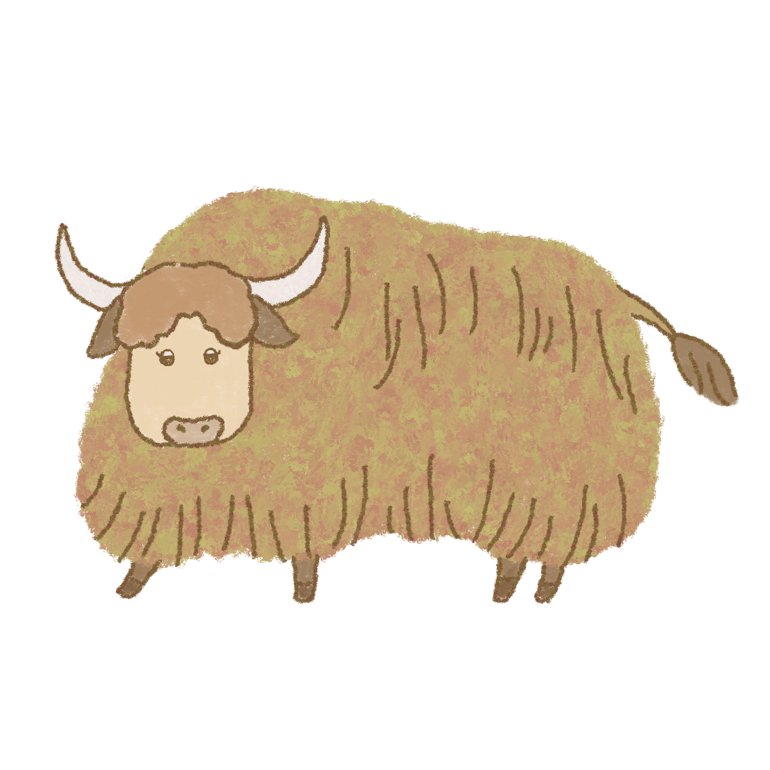 ヤクのイラスト