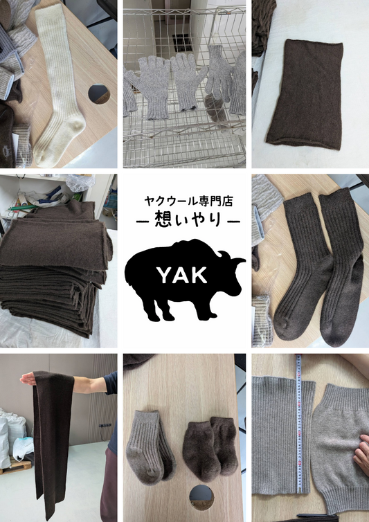 モンゴルの工場から